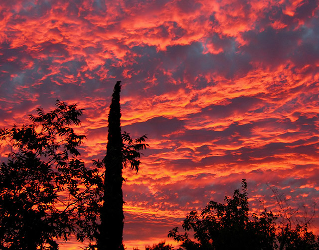 Fiery Arizona Sunset!