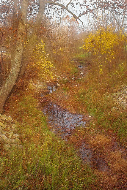 Mystical Creek