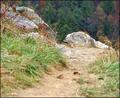 And Now, the Trail Ends