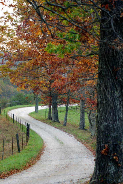 Country Lane