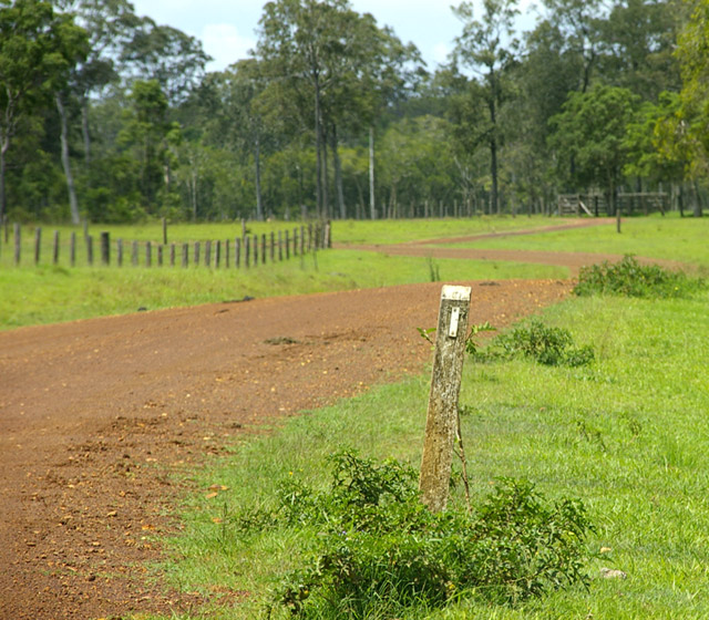 On The Road To Nowhere