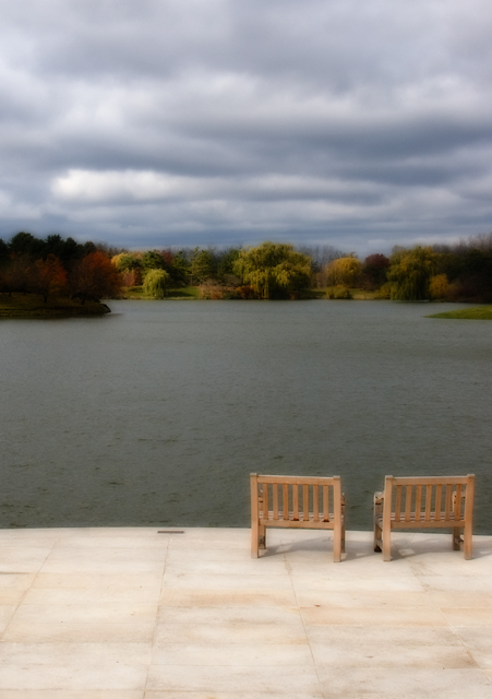 At the Water's Edge