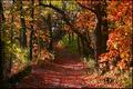 Pere Marquette State Park
