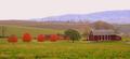 Rural Life