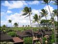 Waikiki