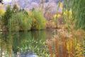 Waning Days of Autumn