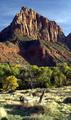 Early Autumn In Zion