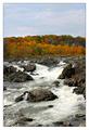 Autumn Flow