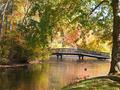 Peaceful, Easy Feeling.....