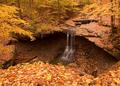 Fall Leaves at Blue Hen Falls