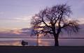 Twilight