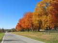My favorite bike route in autumn color