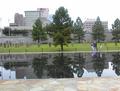 Landscape of Remembrance   (Oklahoma City Bombing Memorial)