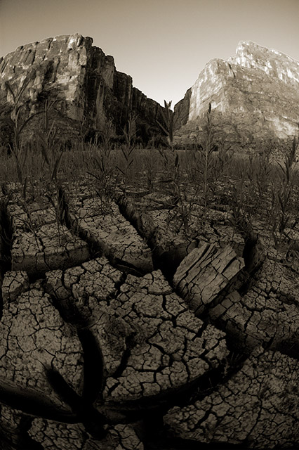 Desert Skin