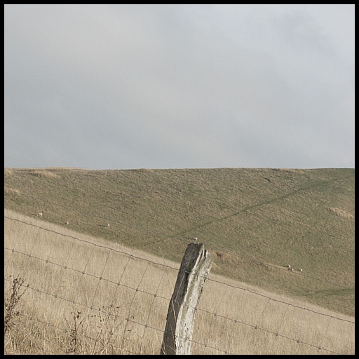 Landscape with sheeps