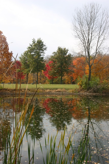 Reflections of Fall