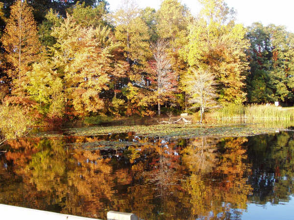 reflections