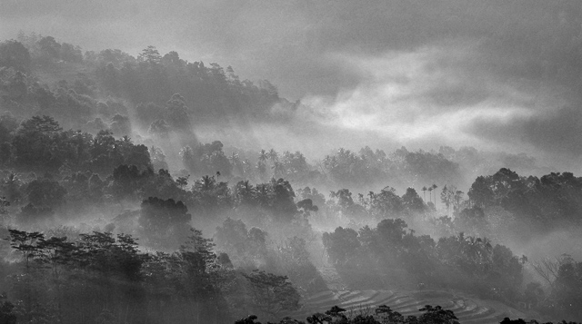 Seeping Rays