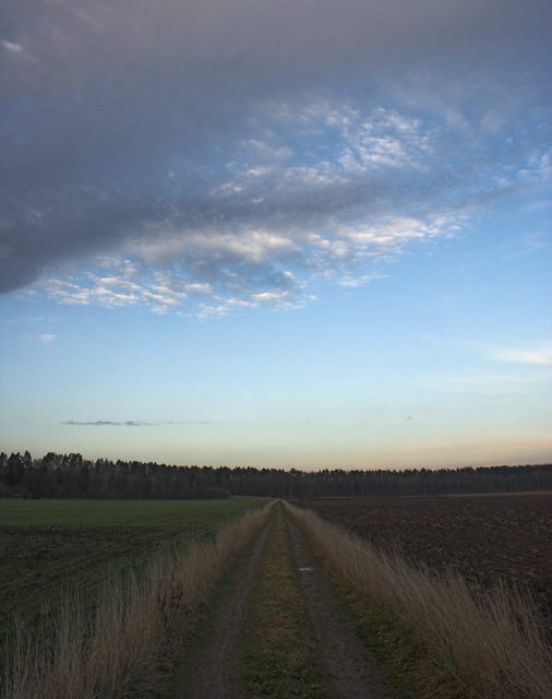 A road to winter