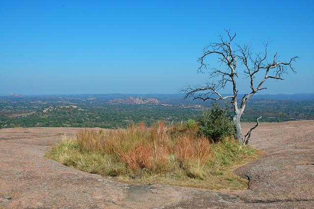 View From the Top