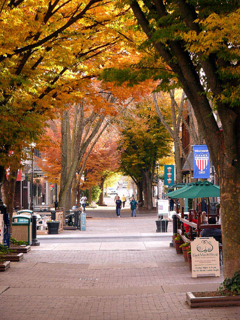 Fall in "Old Town" Winchester VA