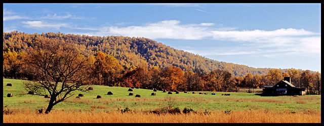 November Afternoon