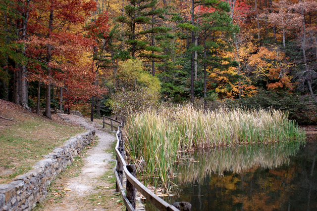 Colors of Fall