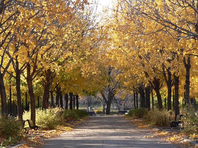 morning walk in the park