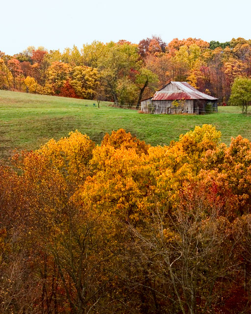 Autumn in the Hills of Orpheus