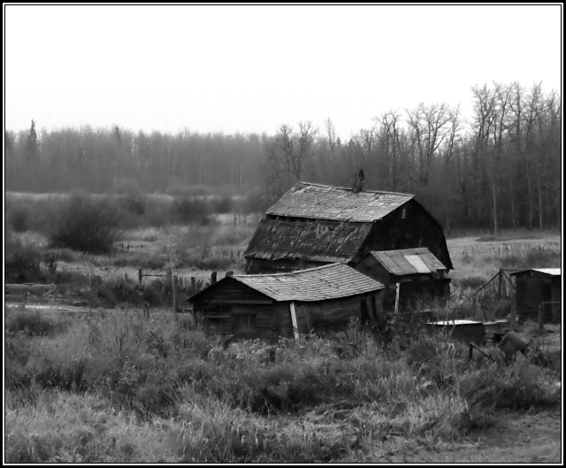 Frosty Morning by the Old Barn