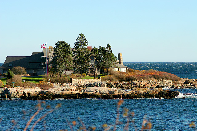 Bush on an Island