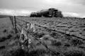 Fenced
