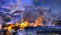 Burning the Garbage