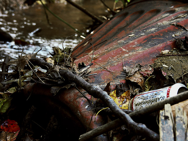 neglected creek