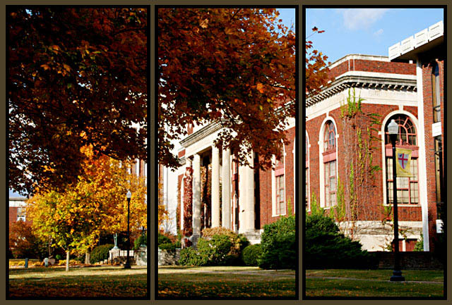 Library in Autumn