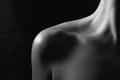 Bodyscape