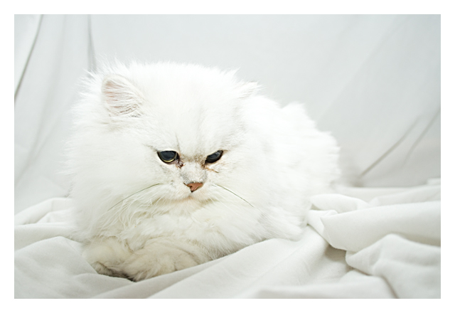 what do you mean im hiding ?
