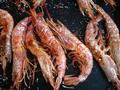 Prawn