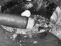 Ashes to ashes
