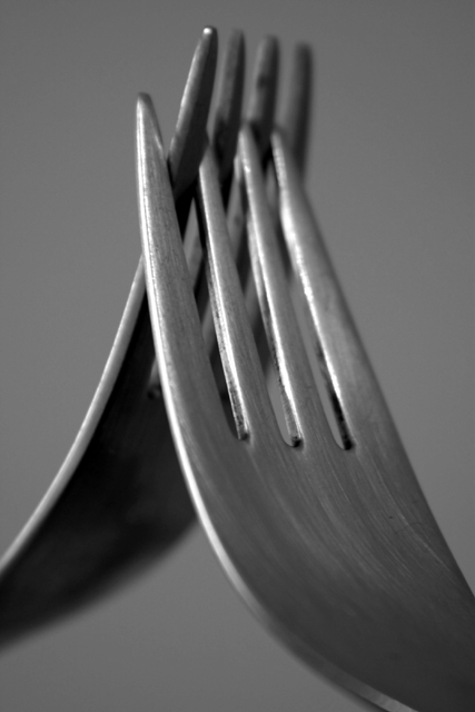 Fork & Fork