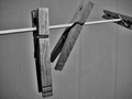 Dead Trees Hanging on a String