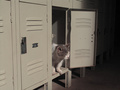 Cat in Locker