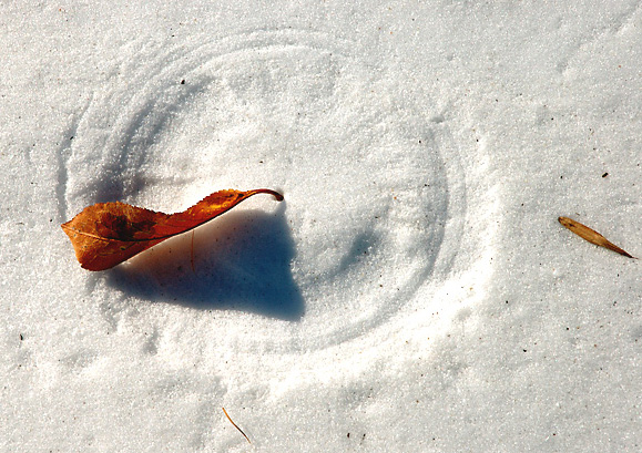 Mother Nature's Sun Dial