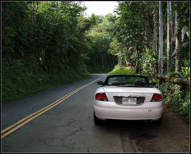 Explore The Open Road