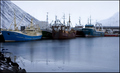 Forlorn fishing boats