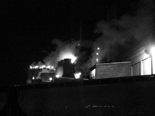 In the Heat of the Night