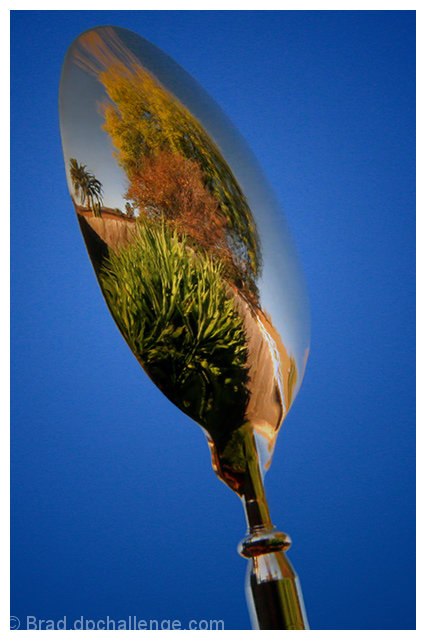 Autumn Reflections