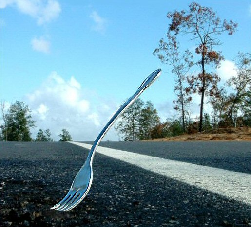 "Fork in the Road"