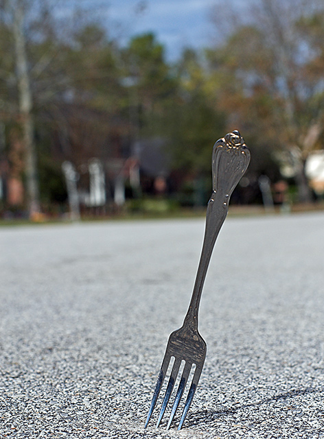 A Fork in the Road