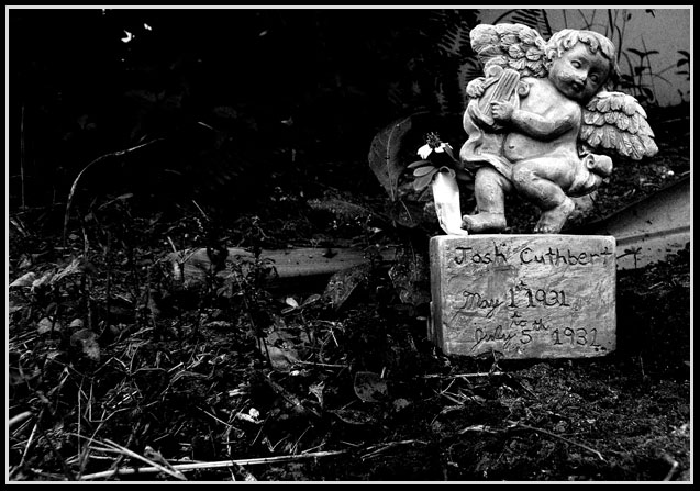 Only if you were here to see the world today...